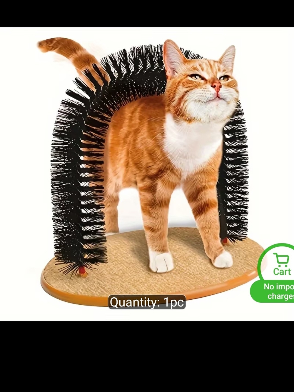Source Unknown Black Arch Cat Self-Grooming Brush